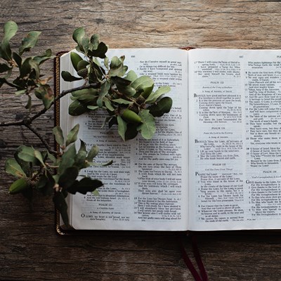 November 3 - Stewardship Prayer
