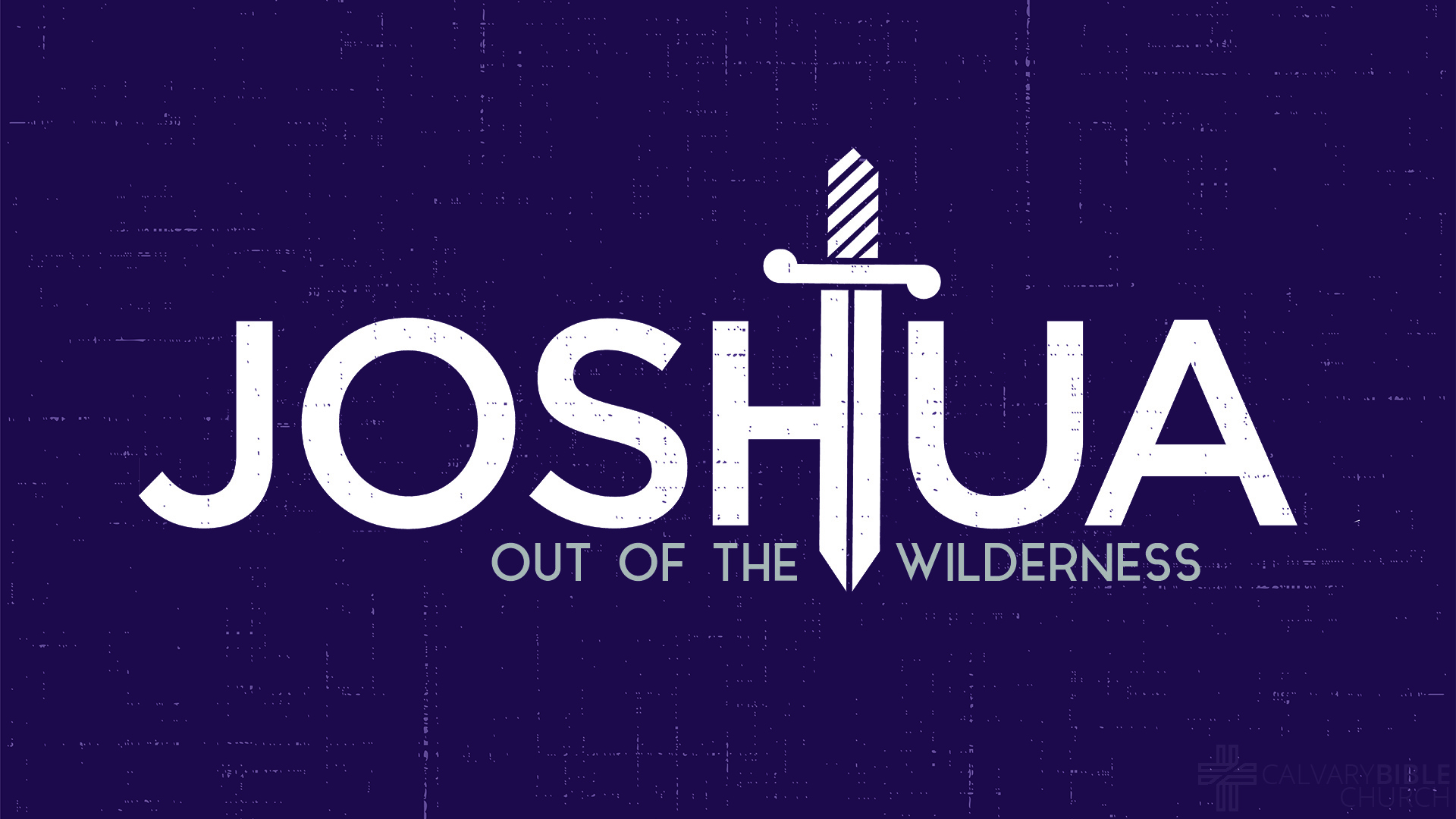 Joshua: Out of the Wilderness
